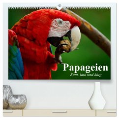 Papageien. Bunt, laut und klug (hochwertiger Premium Wandkalender 2025 DIN A2 quer), Kunstdruck in Hochglanz