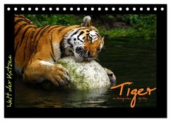 Welt der Katzen - Tiger (Tischkalender 2025 DIN A5 quer), CALVENDO Monatskalender