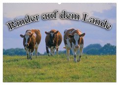 Rinder auf dem Lande (Wandkalender 2025 DIN A2 quer), CALVENDO Monatskalender - Calvendo;Geduldig, Bildagentur