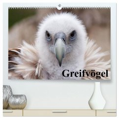 Greifvögel (hochwertiger Premium Wandkalender 2025 DIN A2 quer), Kunstdruck in Hochglanz