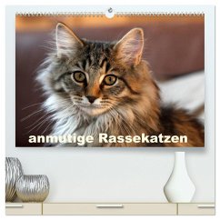 anmutige Rassekatzen (hochwertiger Premium Wandkalender 2025 DIN A2 quer), Kunstdruck in Hochglanz - Calvendo;Scholze, Verena