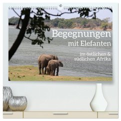 begegnungen - elefanten im südlichen afrika (hochwertiger Premium Wandkalender 2025 DIN A2 quer), Kunstdruck in Hochglanz