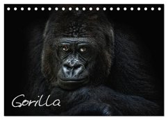 Gorilla (Tischkalender 2025 DIN A5 quer), CALVENDO Monatskalender - Calvendo;Pinkawa / Jo.PinX, Joachim
