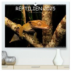 REPTILIEN (hochwertiger Premium Wandkalender 2025 DIN A2 quer), Kunstdruck in Hochglanz - Calvendo;Trapp, Benny