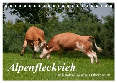 Alpenfleckvieh (Tischkalender 2025 DIN A5 quer), CALVENDO Monatskalender