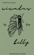 Cicadas in the belly - Bild 1