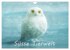 Süsse Tierwelt / Geburtstagskalender (Wandkalender 2025 DIN A4 quer), CALVENDO Monatskalender