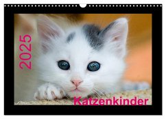 Katzenkinder (Wandkalender 2025 DIN A3 quer), CALVENDO Monatskalender - Calvendo;Weirauch, Michael