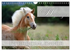 Haflinger / Geburtstagskalender (Wandkalender 2025 DIN A4 quer), CALVENDO Monatskalender - Calvendo;Noack, Nicole