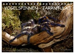 Vogelspinnen - Tarantulas (Tischkalender 2025 DIN A5 quer), CALVENDO Monatskalender