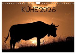 Kühe 2025 (Wandkalender 2025 DIN A4 quer), CALVENDO Monatskalender