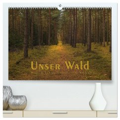 Unser Wald - Magische Sichten in norddeutsche Wälder (hochwertiger Premium Wandkalender 2025 DIN A2 quer), Kunstdruck in Hochglanz