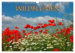 Wildblumen 2025 (Wandkalender 2025 DIN A3 quer), CALVENDO Monatskalender