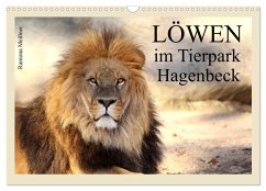 Löwen im Tierpark Hagenbeck (Wandkalender 2025 DIN A3 quer), CALVENDO Monatskalender