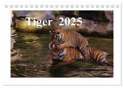 Tiger 2025 (Tischkalender 2025 DIN A5 quer), CALVENDO Monatskalender