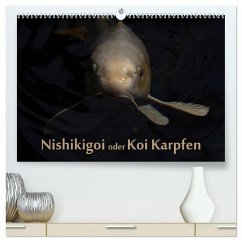 Nishikigoi oder Koi Karpfen (hochwertiger Premium Wandkalender 2025 DIN A2 quer), Kunstdruck in Hochglanz