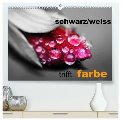 schwarz/weiß trifft farbe (hochwertiger Premium Wandkalender 2025 DIN A2 quer), Kunstdruck in Hochglanz