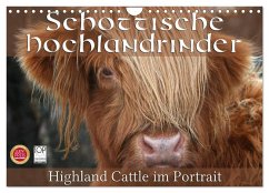 Schottische Hochlandrinder - Highland Cattle im Portrait (Wandkalender 2025 DIN A4 quer), CALVENDO Monatskalender - Calvendo;Cross, Martina