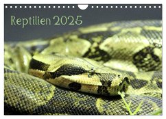 Reptilien 2025 (Wandkalender 2025 DIN A4 quer), CALVENDO Monatskalender