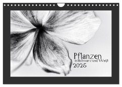 Pflanzen in Schwarz und Weiß (Wandkalender 2025 DIN A4 quer), CALVENDO Monatskalender - Calvendo;Karius, Kirsten