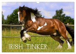 Irish Tinker (Wandkalender 2025 DIN A3 quer), CALVENDO Monatskalender