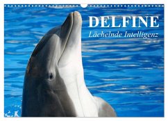 Delfine - Lächelnde Intelligenz (Wandkalender 2025 DIN A3 quer), CALVENDO Monatskalender