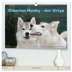 Siberian Husky - der Urtyp (hochwertiger Premium Wandkalender 2025 DIN A2 quer), Kunstdruck in Hochglanz