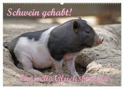Schwein gehabt! (Wandkalender 2025 DIN A2 quer), CALVENDO Monatskalender