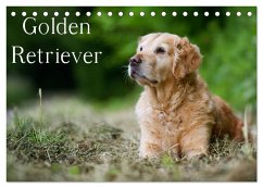 Golden Retriever (Tischkalender 2025 DIN A5 quer), CALVENDO Monatskalender