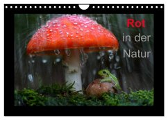 Rot in der Natur (Wandkalender 2025 DIN A4 quer), CALVENDO Monatskalender