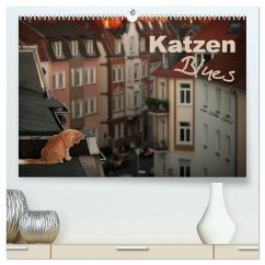 Katzen Blues (hochwertiger Premium Wandkalender 2025 DIN A2 quer), Kunstdruck in Hochglanz - Calvendo;Gross, Viktor