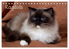 Ragdolls (Tischkalender 2025 DIN A5 quer), CALVENDO Monatskalender