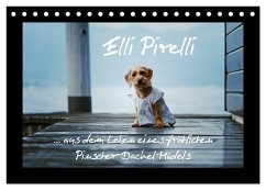 Elli Pirelli... aus dem Leben eines fröhlichen Pinscher-Dackel-Mädels (Tischkalender 2025 DIN A5 quer), CALVENDO Monatskalender