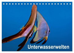 Unterwasserwelten (Tischkalender 2025 DIN A5 quer), CALVENDO Monatskalender