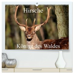 Hirsche - Könige des Waldes/Geburtstagskalender (hochwertiger Premium Wandkalender 2025 DIN A2 quer), Kunstdruck in Hochglanz