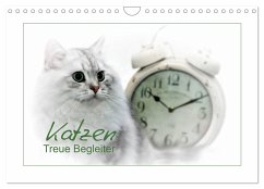 Katzen ¿ Treue Begleiter (CH - Version) (Wandkalender 2025 DIN A4 quer), CALVENDO Monatskalender - Calvendo;Viola, Melanie