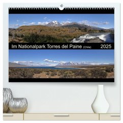 Im Nationalpark Torres del Paine (Chile) (hochwertiger Premium Wandkalender 2025 DIN A2 quer), Kunstdruck in Hochglanz - Calvendo;Flori0