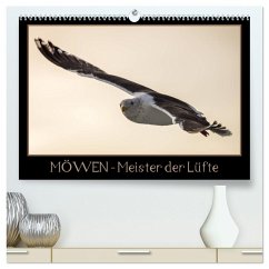 Möwen - Meister der Lüfte (hochwertiger Premium Wandkalender 2025 DIN A2 quer), Kunstdruck in Hochglanz - Calvendo;Schwarz Fotografie, Thomas