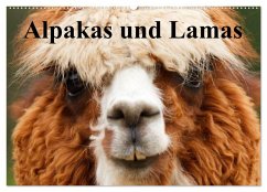 Alpakas und Lamas (Wandkalender 2025 DIN A2 quer), CALVENDO Monatskalender