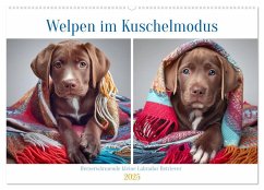 Welpen im Kuschelmodus - Herzerwärmende kleine Labrador Retriever (Wandkalender 2025 DIN A2 quer), CALVENDO Monatskalender