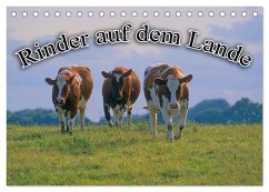 Rinder auf dem Lande (Tischkalender 2025 DIN A5 quer), CALVENDO Monatskalender