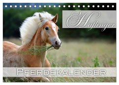 Haflinger / Geburtstagskalender (Tischkalender 2025 DIN A5 quer), CALVENDO Monatskalender - Calvendo;Noack, Nicole