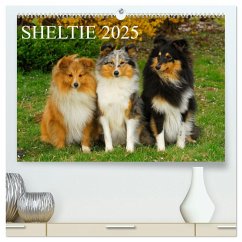 Sheltie 2025 (hochwertiger Premium Wandkalender 2025 DIN A2 quer), Kunstdruck in Hochglanz