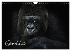 Gorilla (Wandkalender 2025 DIN A4 quer), CALVENDO Monatskalender - Calvendo;Pinkawa / Jo.PinX, Joachim