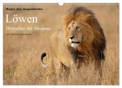 Magie des Augenblicks - Löwen - Herrscher der Savanne (Wandkalender 2025 DIN A3 quer), CALVENDO Monatskalender