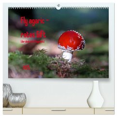 Fly agaric - rotes Gift (hochwertiger Premium Wandkalender 2025 DIN A2 quer), Kunstdruck in Hochglanz
