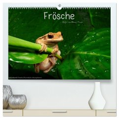 Frösche (hochwertiger Premium Wandkalender 2025 DIN A2 quer), Kunstdruck in Hochglanz