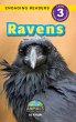 Ravens - Bild 1