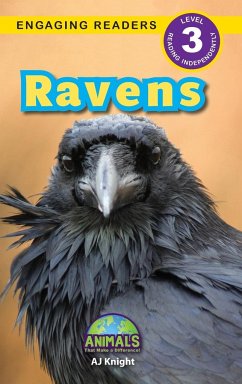 Ravens - Knight, Aj