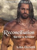 Reconciliation: Seth's Story (eBook, ePUB) Reconciliation: Seth's Story (eBook, ePUB)
